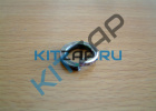 ����� ������� �����